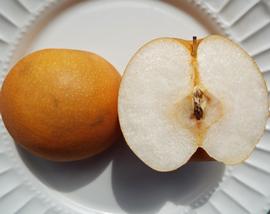   Fruit:   Pyrus pyrifolia ; Photo by F. Starr and K. Starr, Starr Environmental
